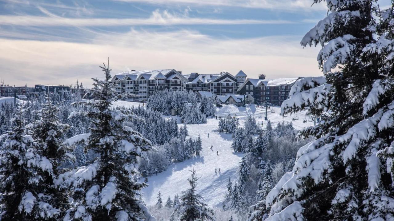 Snowshoe Ski-In & Ski-Out At Silvercreek Resort - Family Friendly, Jacuzzi, Hot Tub, Mountain Views Buitenkant foto