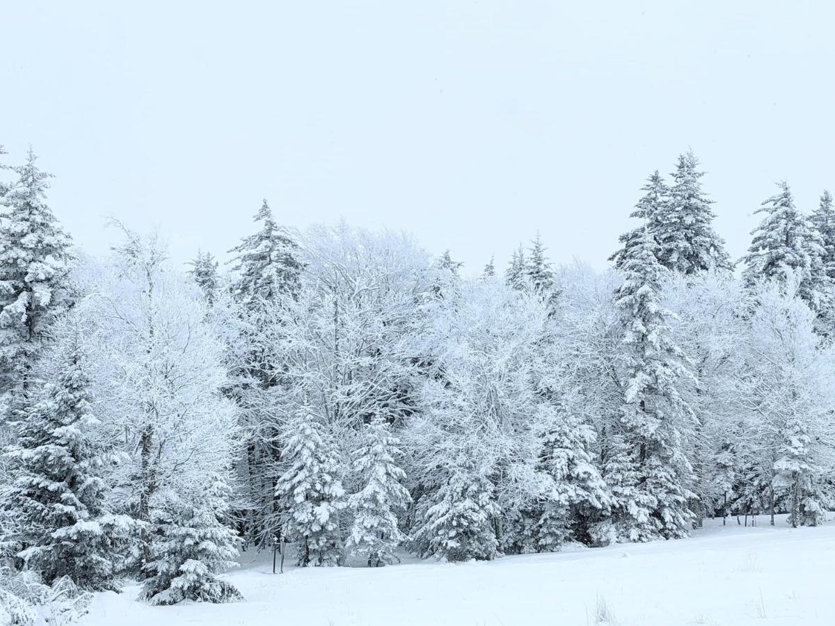 Snowshoe Ski-In & Ski-Out At Silvercreek Resort - Family Friendly, Jacuzzi, Hot Tub, Mountain Views Buitenkant foto