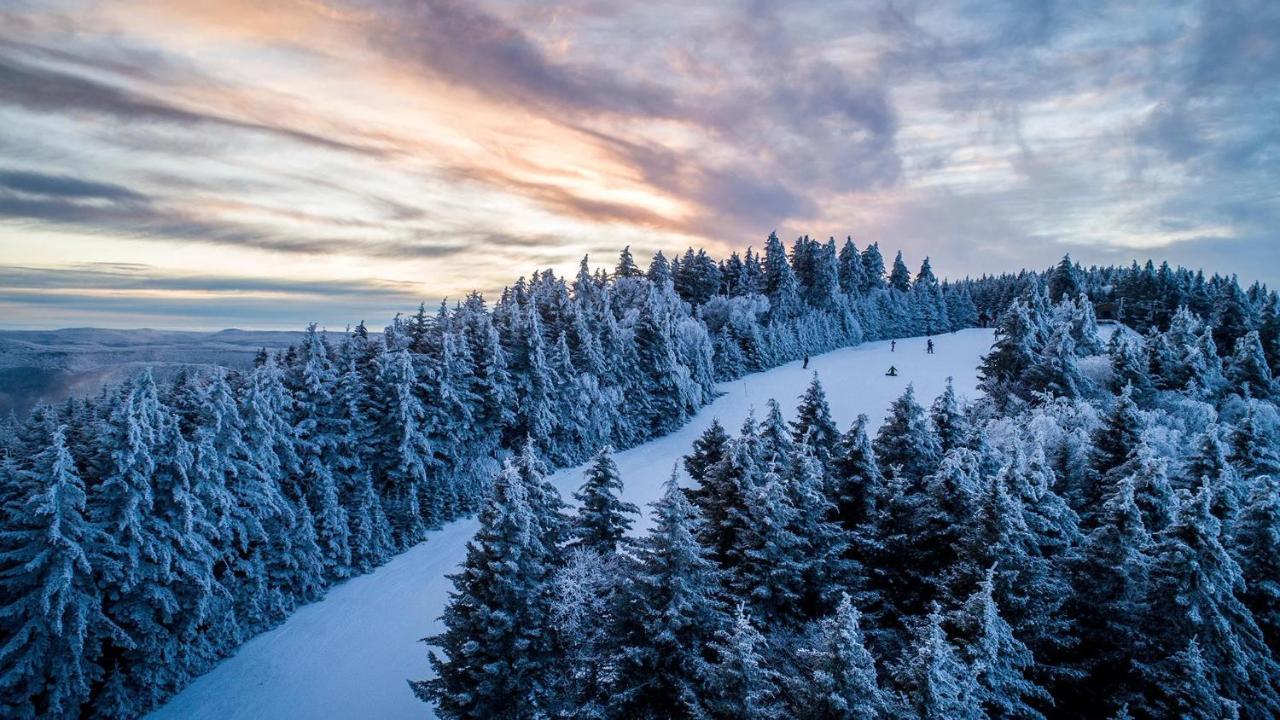 Snowshoe Ski-In & Ski-Out At Silvercreek Resort - Family Friendly, Jacuzzi, Hot Tub, Mountain Views Buitenkant foto